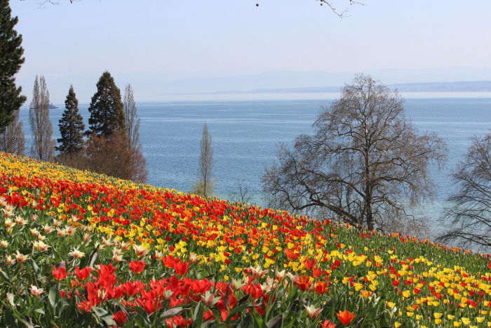Blumeninsel Mainau